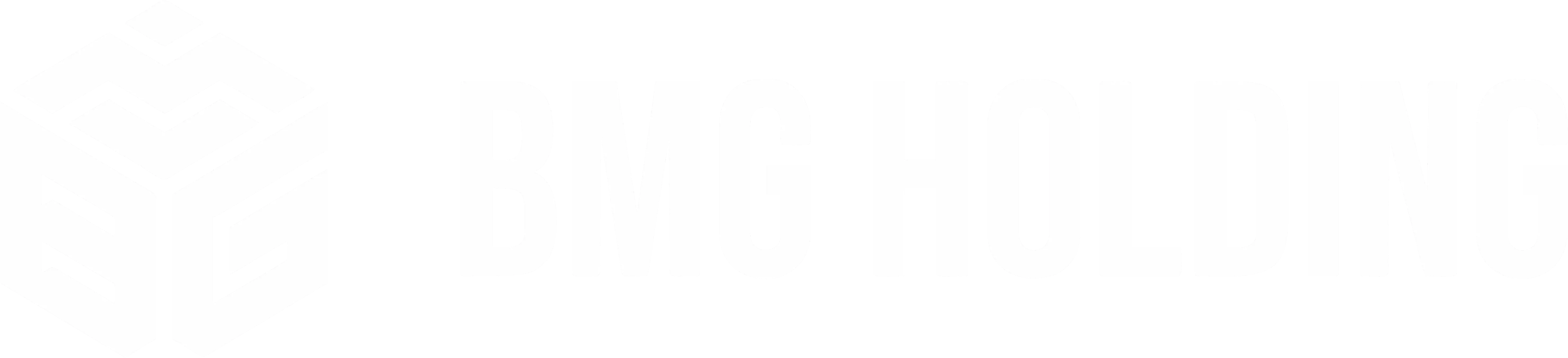 Логотип BMG HOLDING